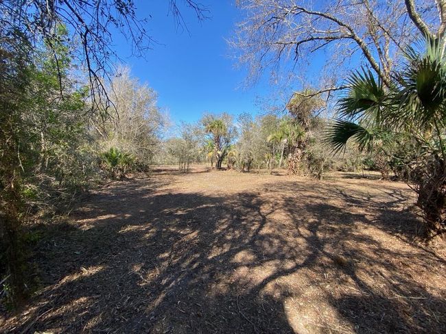 15936 306 Th St, Home with 0 bedrooms, 0 bathrooms and null parking in Okeechobee FL | Image 7