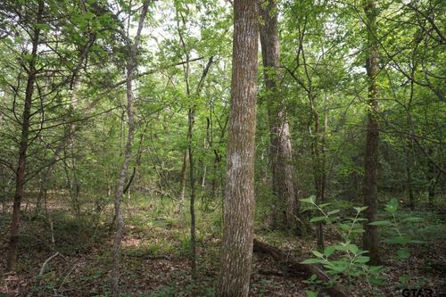 TBD2 County Road 1200, Malakoff, TX, 75148 | Card Image