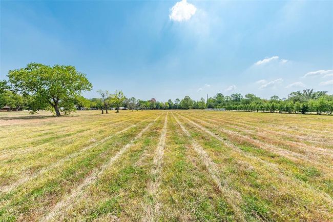 View looking east from the west side of the property facing Adamo. Home is on the left. | Image 17