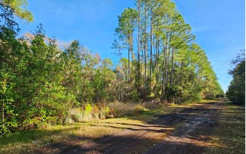 124 Helen Ave, Georgetown, FL, 32139 | Card Image