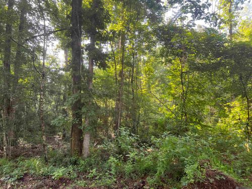 Lot 4 Hepzibah Rd, Clinton, LA, 70722 | Card Image