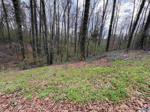 1.5 acres Whippoorwill Lane, Albertville, AL, 35950 | Card Image