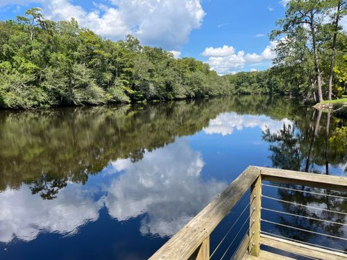 269 Out Water Lane, Branchville, SC, 29432 | Card Image