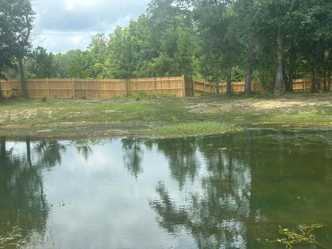 Pond | Image 21