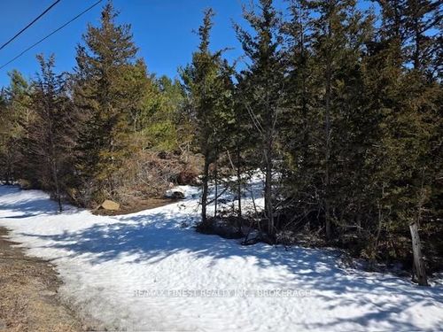 590 Love Road, Loyalist, ON, K0H2H0 | Card Image