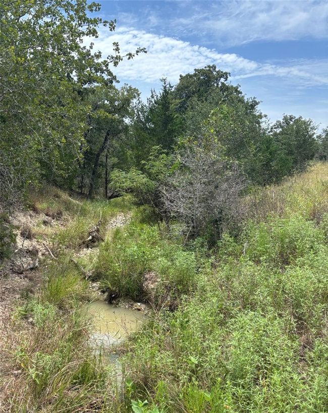 wet weather creek | Image 15