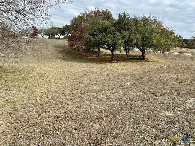 24 Andy's Pt Point, Home with 0 bedrooms, 0 bathrooms and null parking in Burnet TX | Image 10