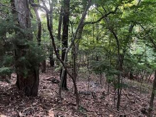 Lots 15&16 Vinita Circle, Monkey Island, OK, 74331 | Card Image