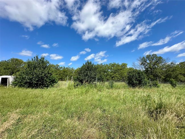 View of local wilderness | Image 10
