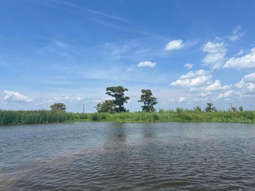 Lot 91 Janes Ln, Hammond, LA, 70401-1827 | Card Image
