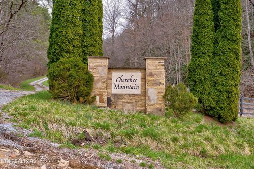 41 Black Maple Way, Del Rio, TN, 37727 | Card Image