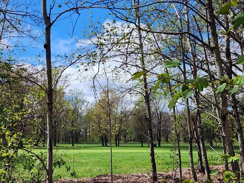 TBD Fairway Hollow Dr, Mancelona, MI, 49659 | Card Image