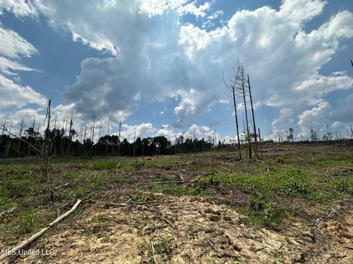 0 Whitetown Ln, Hazlehurst, MS, 39083 | Card Image