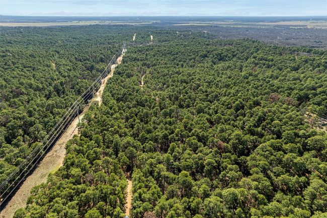 Aerial View Lot 95 and 96 Hidden Hollow Ct, Pine Forest Bastrop | Image 12