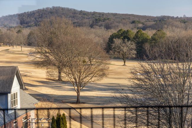 Course Views | Image 34