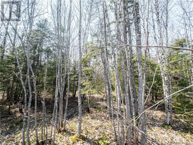 1387 Bells Mills Rd, Home with 0 bedrooms, 0 bathrooms and null parking in Richibouctou-Village NB | Image 29