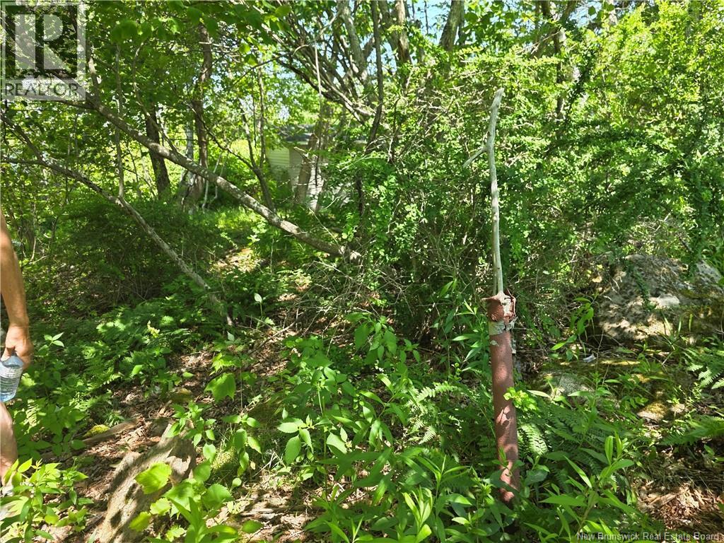 Land in Saint John 2