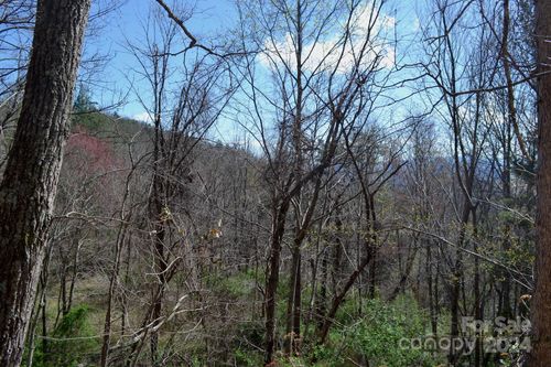 Lot 8 Town Mountain Rd, Asheville, NC, 28804 | Card Image