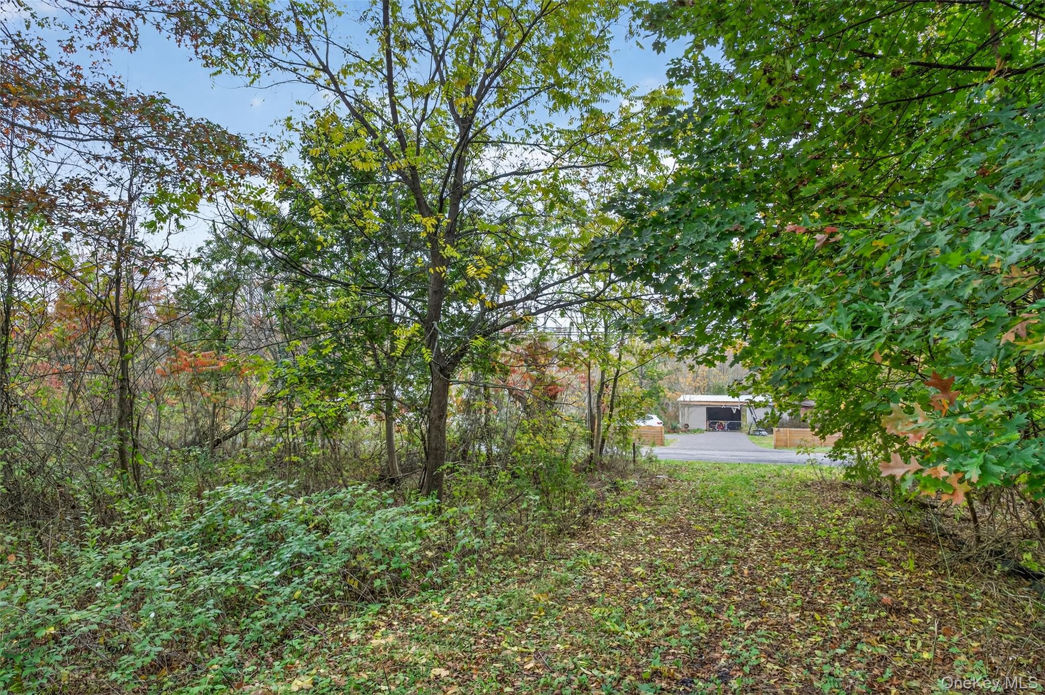 Land in New Paltz 4