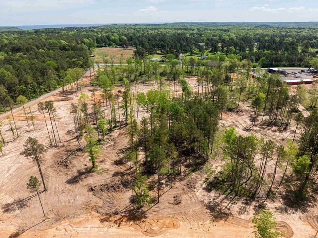 244 Little Rock Rd, Home with 0 bedrooms, 0 bathrooms and 50 parking in Heber Springs AR | Image 5