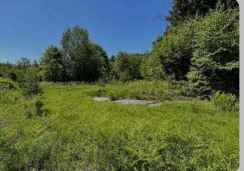 0 Alder Plains Rd, Bradford, NH, 03221 | Card Image