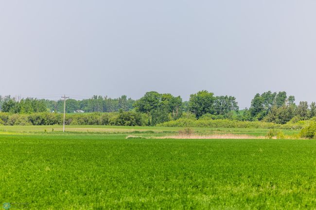 Amdak__Fosston MN - Land_0022.jpg | Image 23
