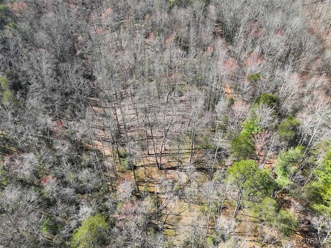 41.18 Acres (Off Of) Pole Bridge Rd, Home with 0 bedrooms, 0 bathrooms and null parking in Stuart VA | Image 19