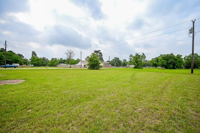 View Looking Out Onto The Green Grass | Image 32