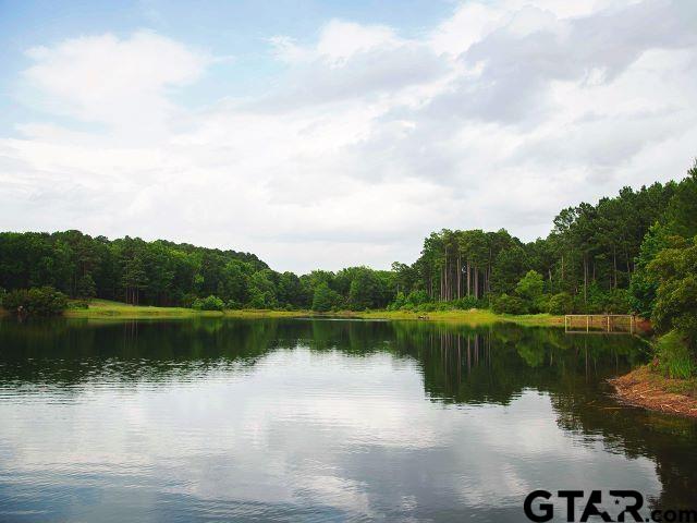 Land in Montalba 4