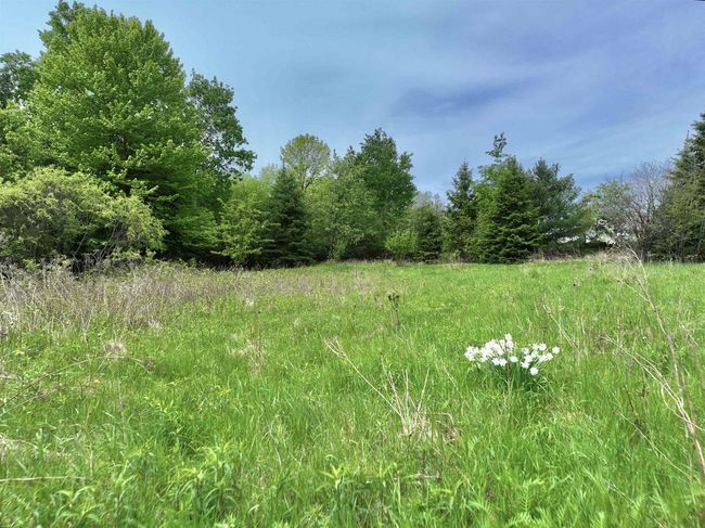 LOT 3 1st S Avenue, Home with 0 bedrooms, 0 bathrooms and null parking in Park Falls WI | Image 4