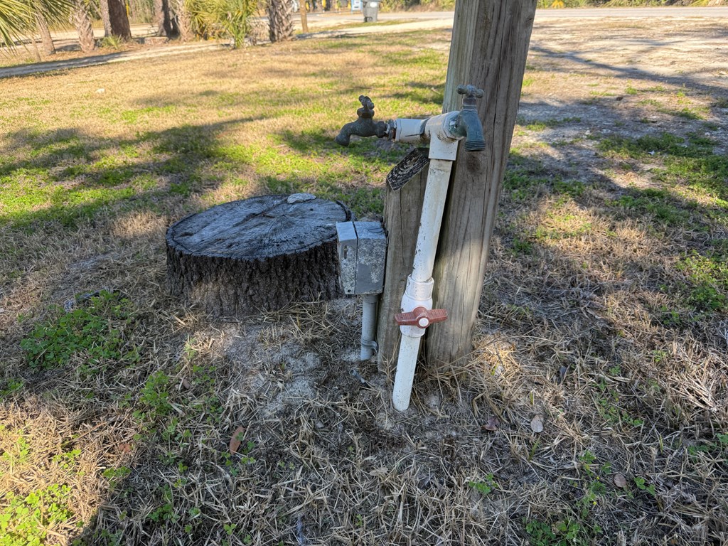 Land in Steinhatchee 5
