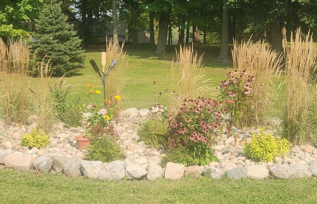 46 Winterhaven garden.jpg | Image 44