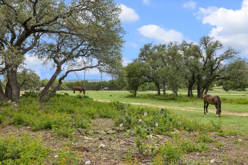 6411 W Fitzhugh Rd, Dripping Springs, TX, 78620-5589 | Card Image