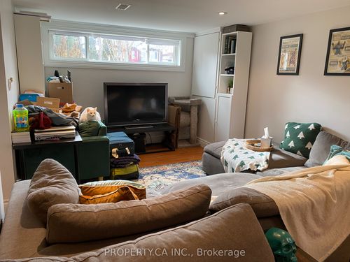 {{alt}} | Card Image