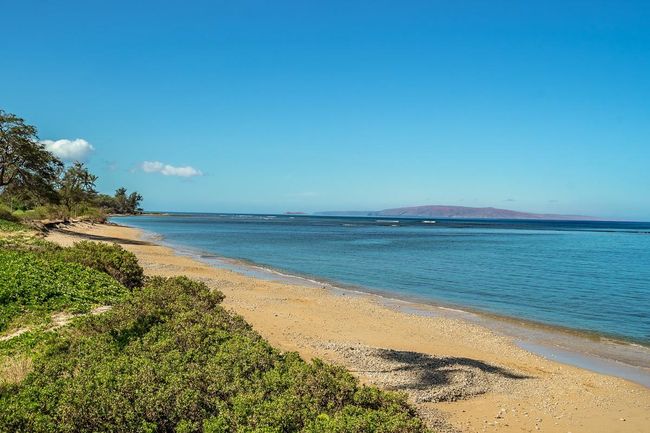 APT-523 - 938 S Kihei Rd, Condo with 1 bedrooms, 1 bathrooms and null parking in Kihei HI | Image 34