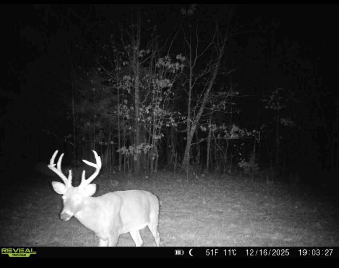 Land in Highlandville 4