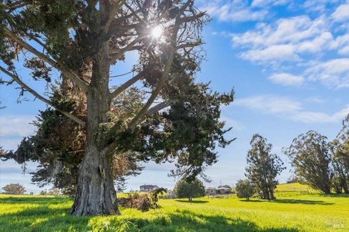 549 Fairview Ct, Petaluma, CA, 94952-1665 | Card Image