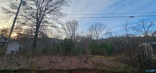 .37+/- Lot Park Rd Sw, Fort Payne, AL, 35967 | Card Image
