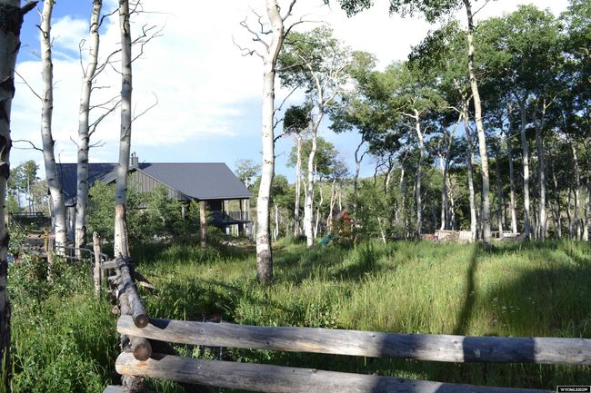 1467 Moose Hollow Rd, Home with 3 bedrooms, 3 bathrooms and null parking in Robertson WY | Image 31