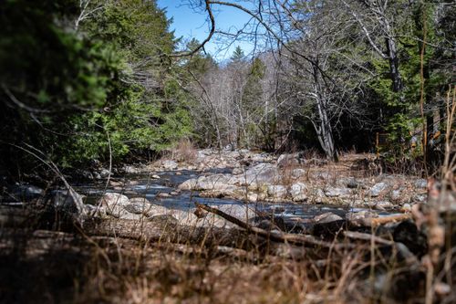 Lot 1 N Dorchester Rd, Wentworth, NH, 03282-3710 | Card Image
