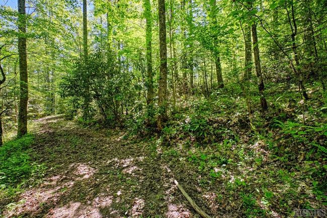 75 Gunpoint Rd, House other with 2 bedrooms, 2 bathrooms and null parking in Cullowhee NC | Image 19