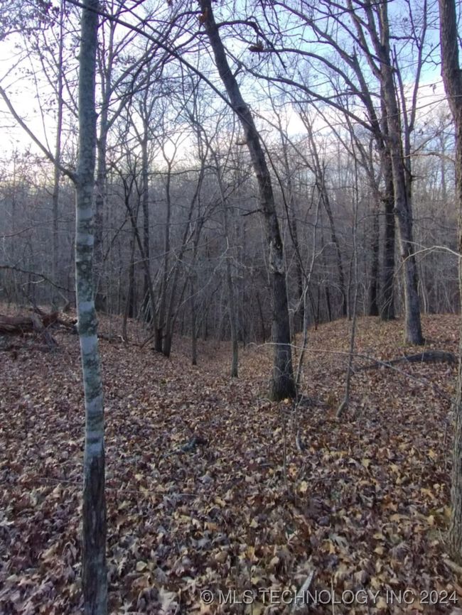 464776 Indian Rd, Home with 0 bedrooms, 0 bathrooms and null parking in Proctor OK | Image 5