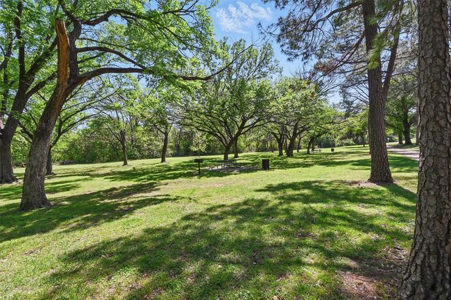 View of yard | Image 25