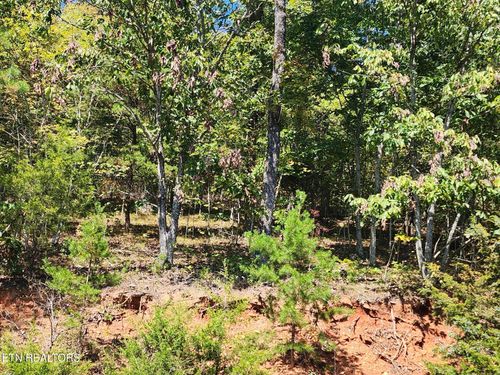 lot 609 Chimney Rock Rd, New Tazewell, TN, 37825 | Card Image
