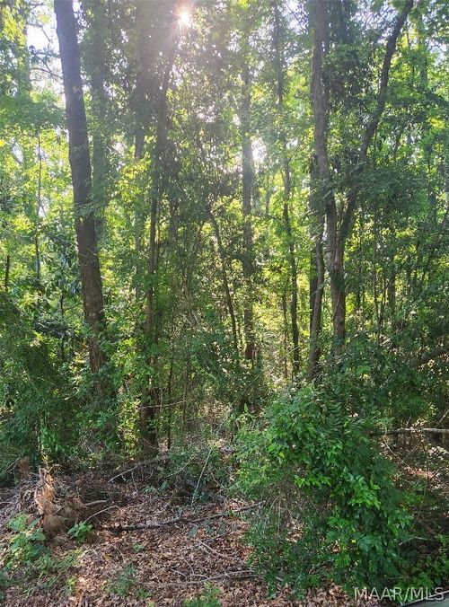 00 Holsey St, TUSKEGEE INSTITUTE, AL, 36088 | Card Image