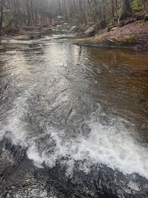 637 Monticello Dr, West Jefferson, NC, 28694 | Card Image