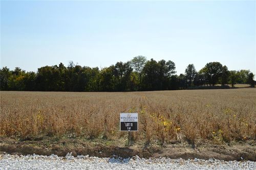 11302 Windsor Place, Wright City, MO, 63390 | Card Image