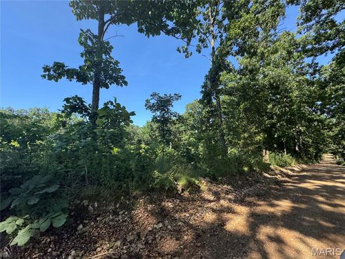 0 Maries Road 638, Dixon, MO, 65459 | Card Image
