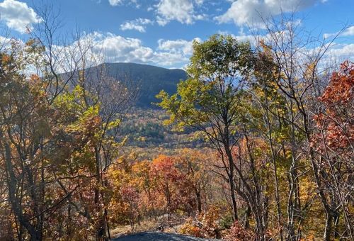 1156 Bear Mountain Road, Wallingford, VT, 05773 | Card Image