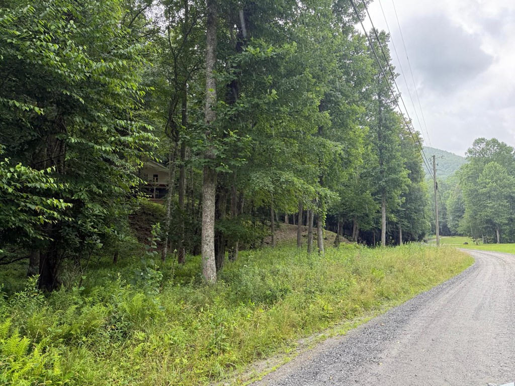 Land in Franklin 2